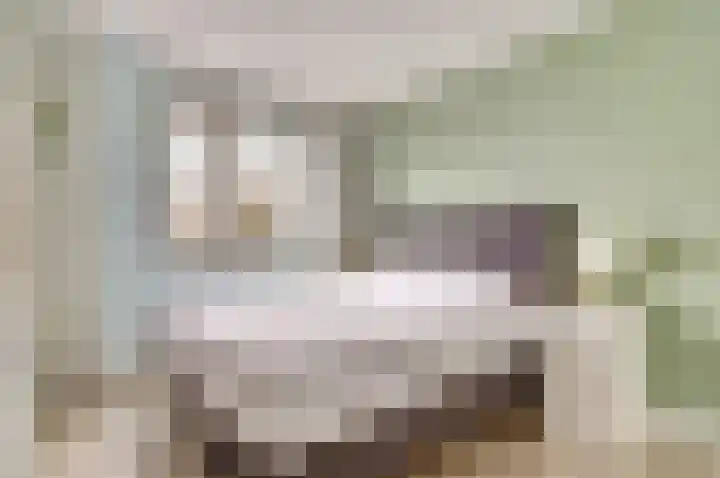 Kuiperspolderke 37 Raamsdonk thumbnail 14