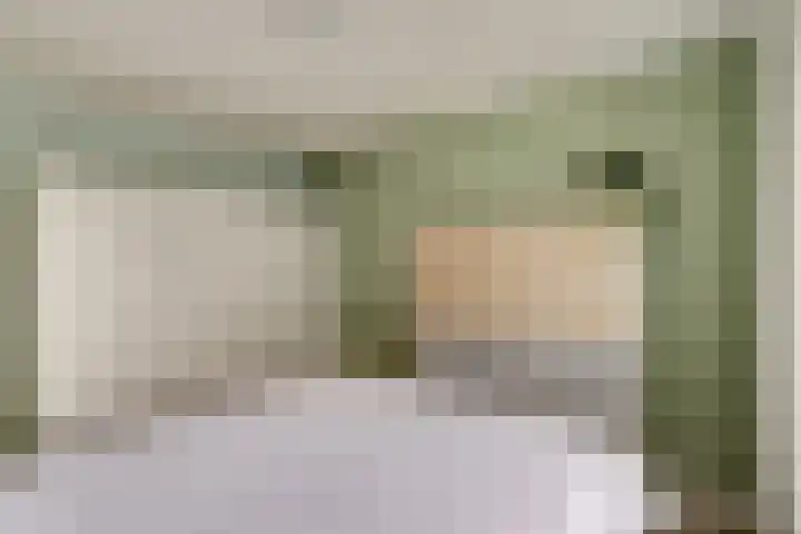 Kuiperspolderke 37 Raamsdonk thumbnail 16