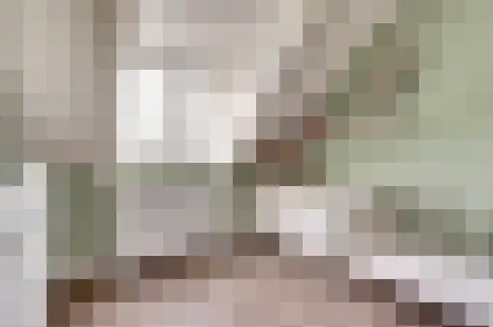 Kuiperspolderke 37 Raamsdonk thumbnail 17