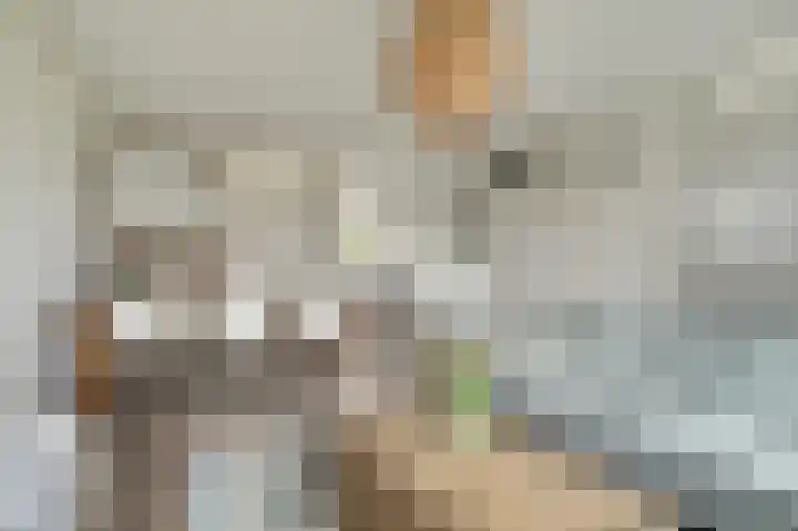 Kuiperspolderke 37 Raamsdonk foto 2