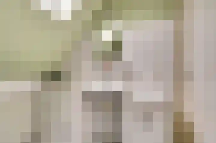 Kuiperspolderke 37 Raamsdonk thumbnail 25