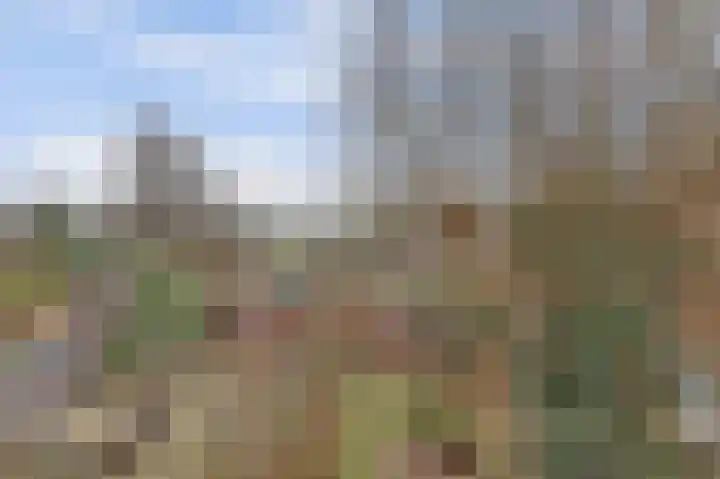 Kuiperspolderke 37 Raamsdonk thumbnail 28