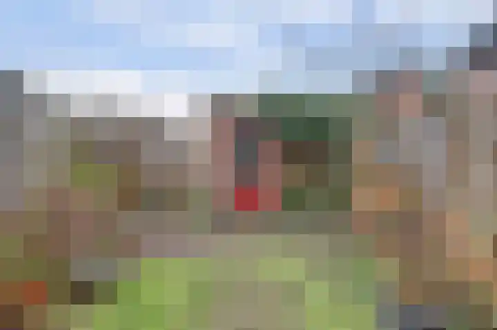 Kuiperspolderke 37 Raamsdonk thumbnail 30