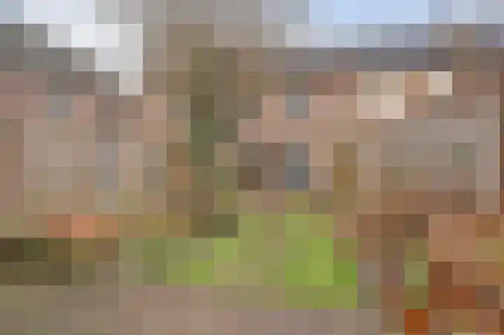 Kuiperspolderke 37 Raamsdonk thumbnail 31