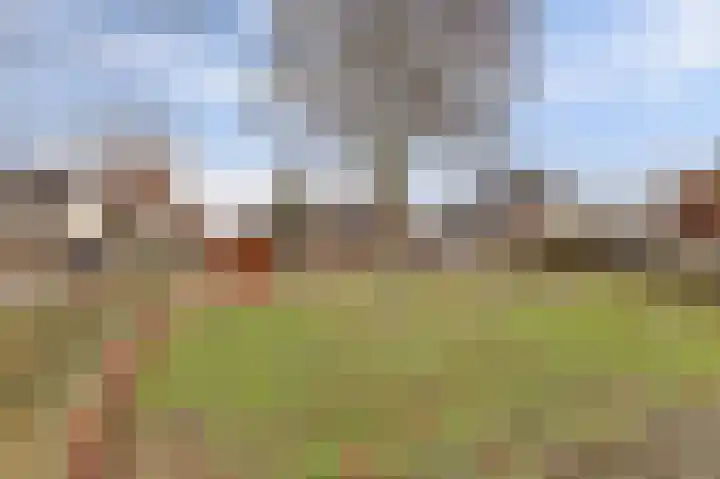 Kuiperspolderke 37 Raamsdonk thumbnail 34