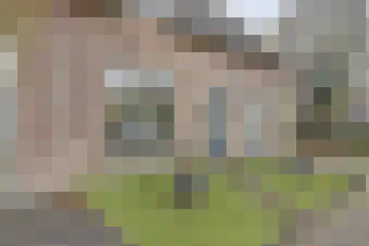 Kuiperspolderke 37 Raamsdonk thumbnail 35
