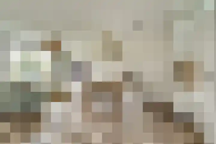 Kuiperspolderke 37 Raamsdonk thumbnail 4