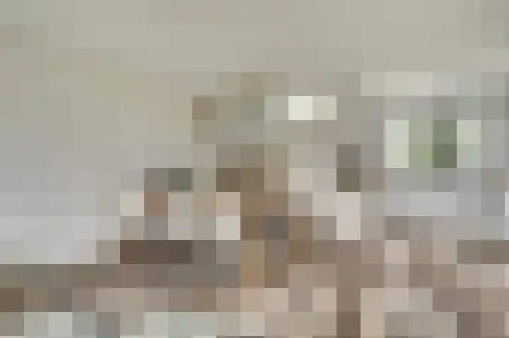 Kuiperspolderke 37 Raamsdonk thumbnail 5