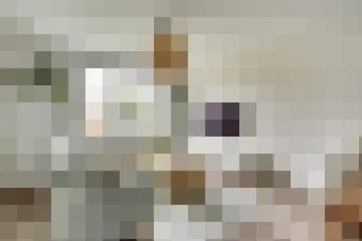 Kuiperspolderke 37 Raamsdonk thumbnail 6