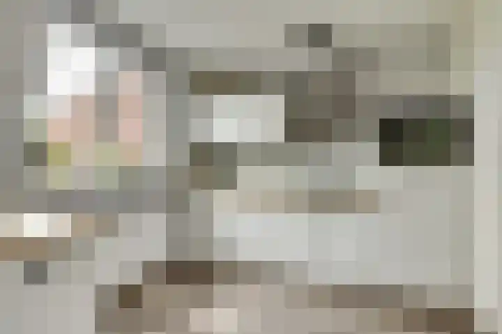 Kuiperspolderke 37 Raamsdonk thumbnail 8
