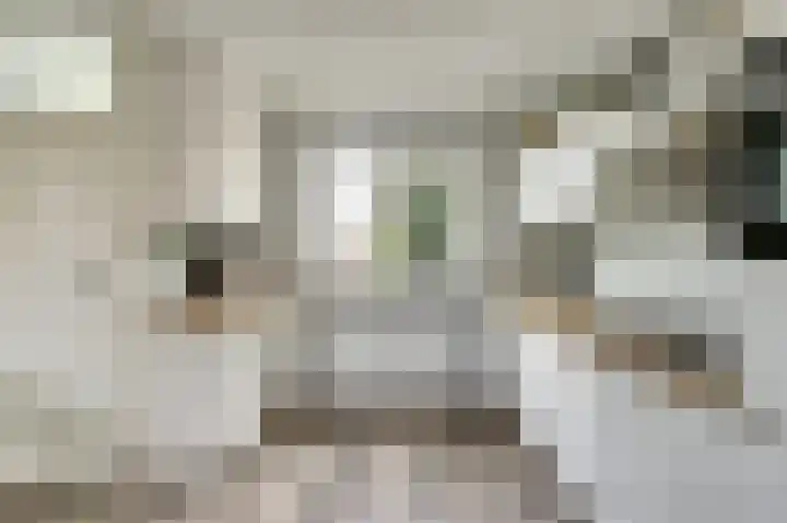 Kuiperspolderke 37 Raamsdonk thumbnail 9