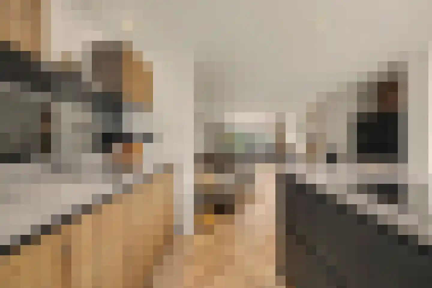 Kuiperspolderke 55 Raamsdonk thumbnail 10
