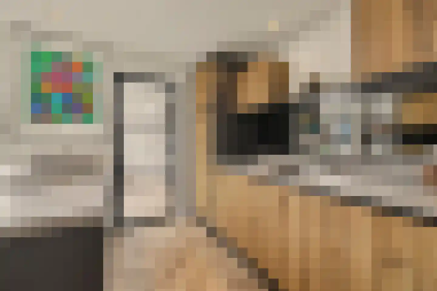 Kuiperspolderke 55 Raamsdonk thumbnail 14