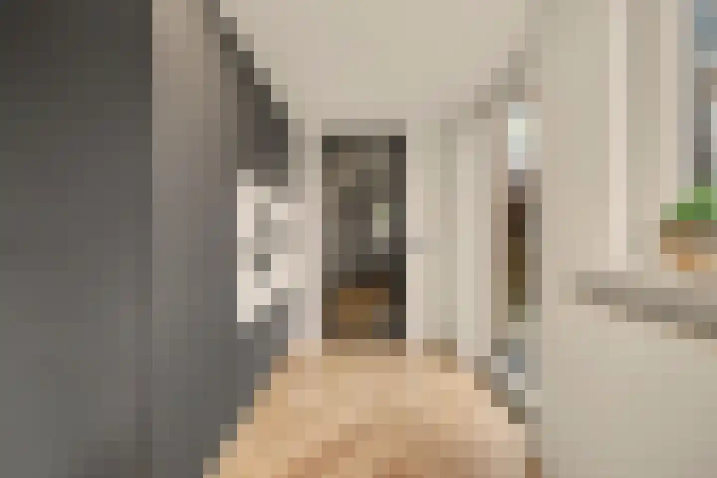 Kuiperspolderke 55 Raamsdonk thumbnail 15