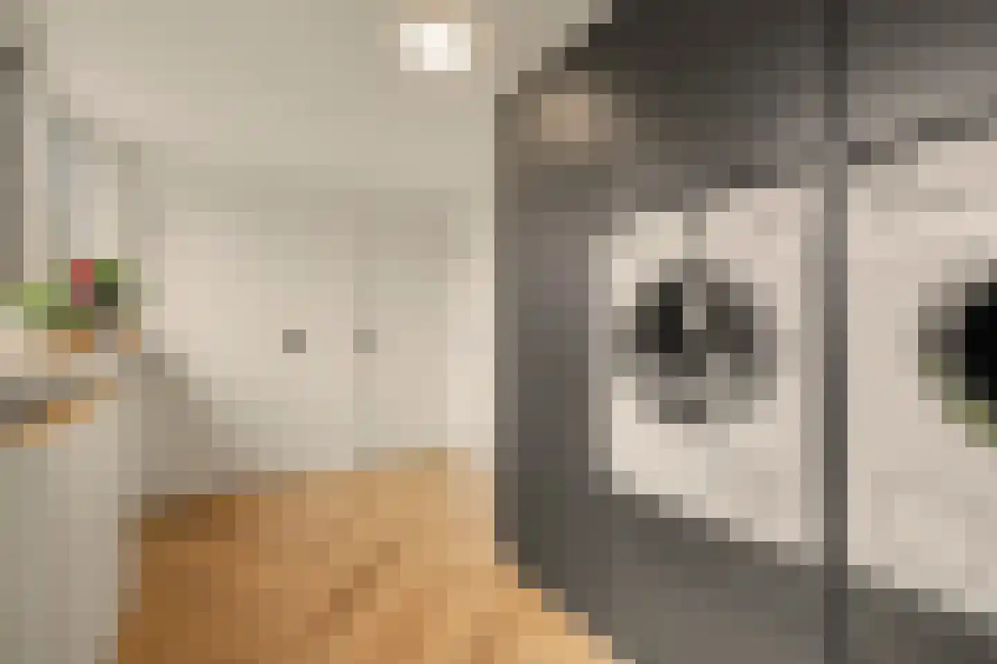 Kuiperspolderke 55 Raamsdonk thumbnail 16
