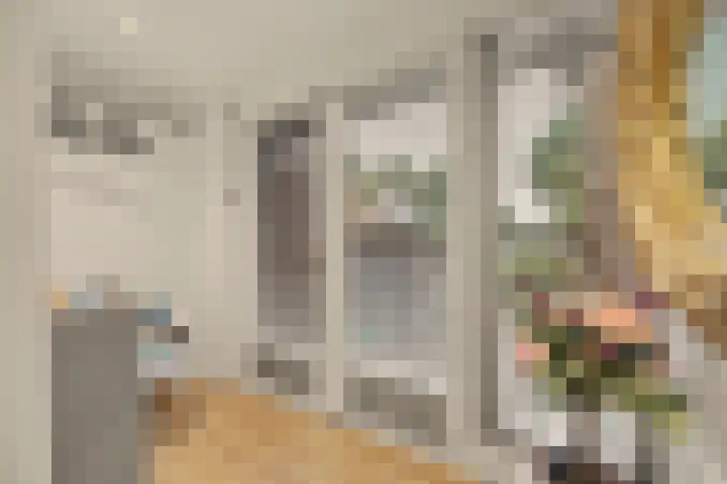 Kuiperspolderke 55 Raamsdonk thumbnail 18