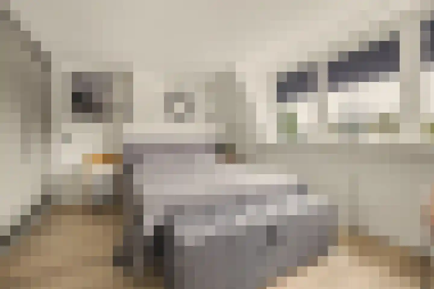 Kuiperspolderke 55 Raamsdonk thumbnail 24