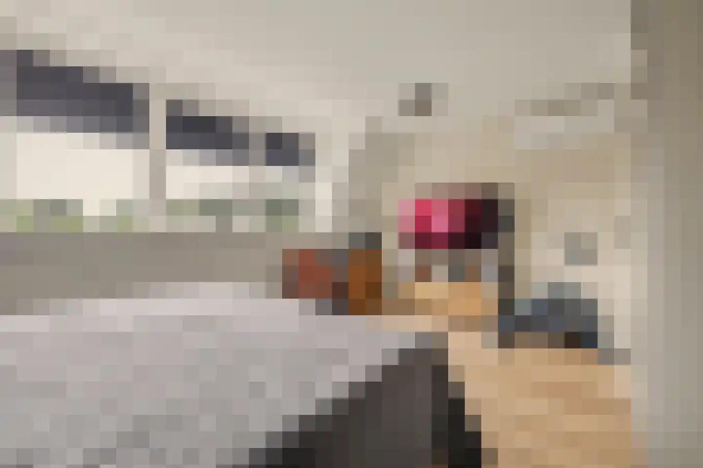 Kuiperspolderke 55 Raamsdonk thumbnail 25