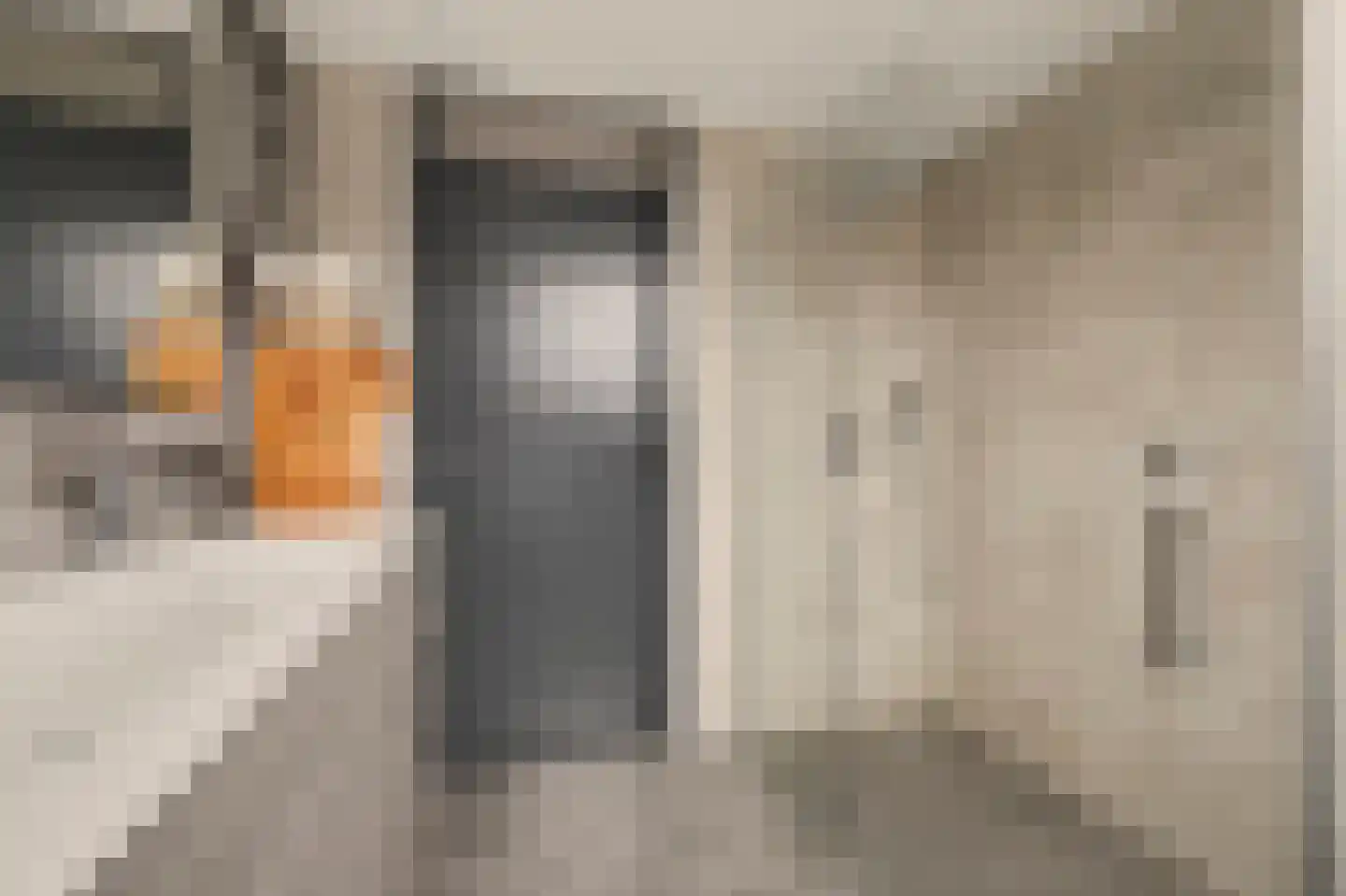 Kuiperspolderke 55 Raamsdonk thumbnail 26