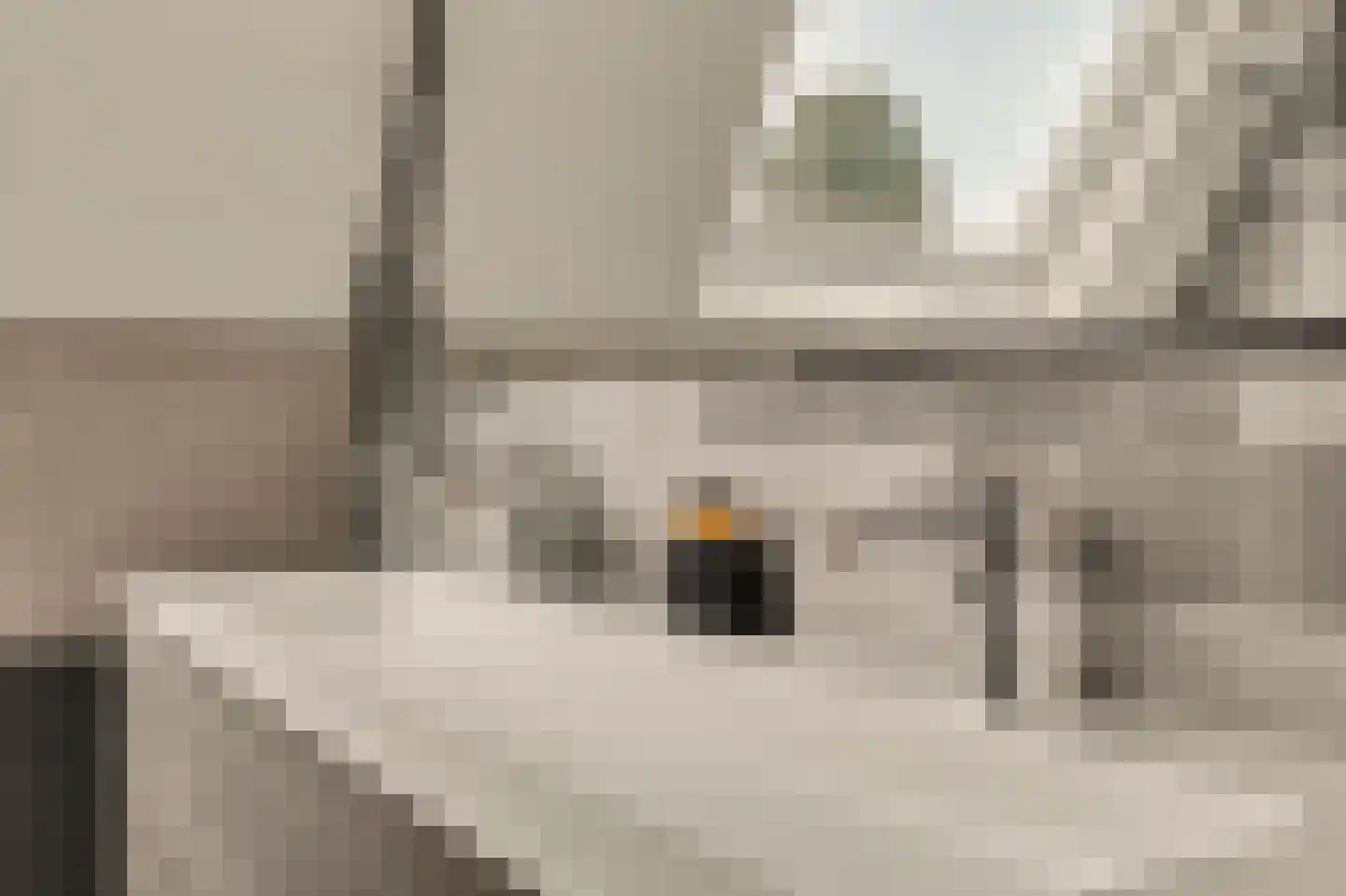 Kuiperspolderke 55 Raamsdonk thumbnail 29