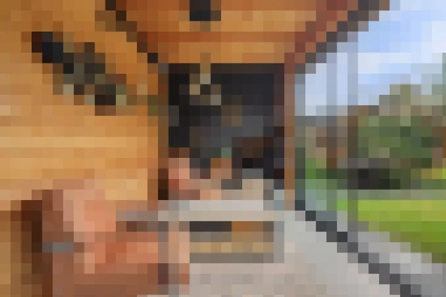 Kuiperspolderke 55 Raamsdonk thumbnail 37