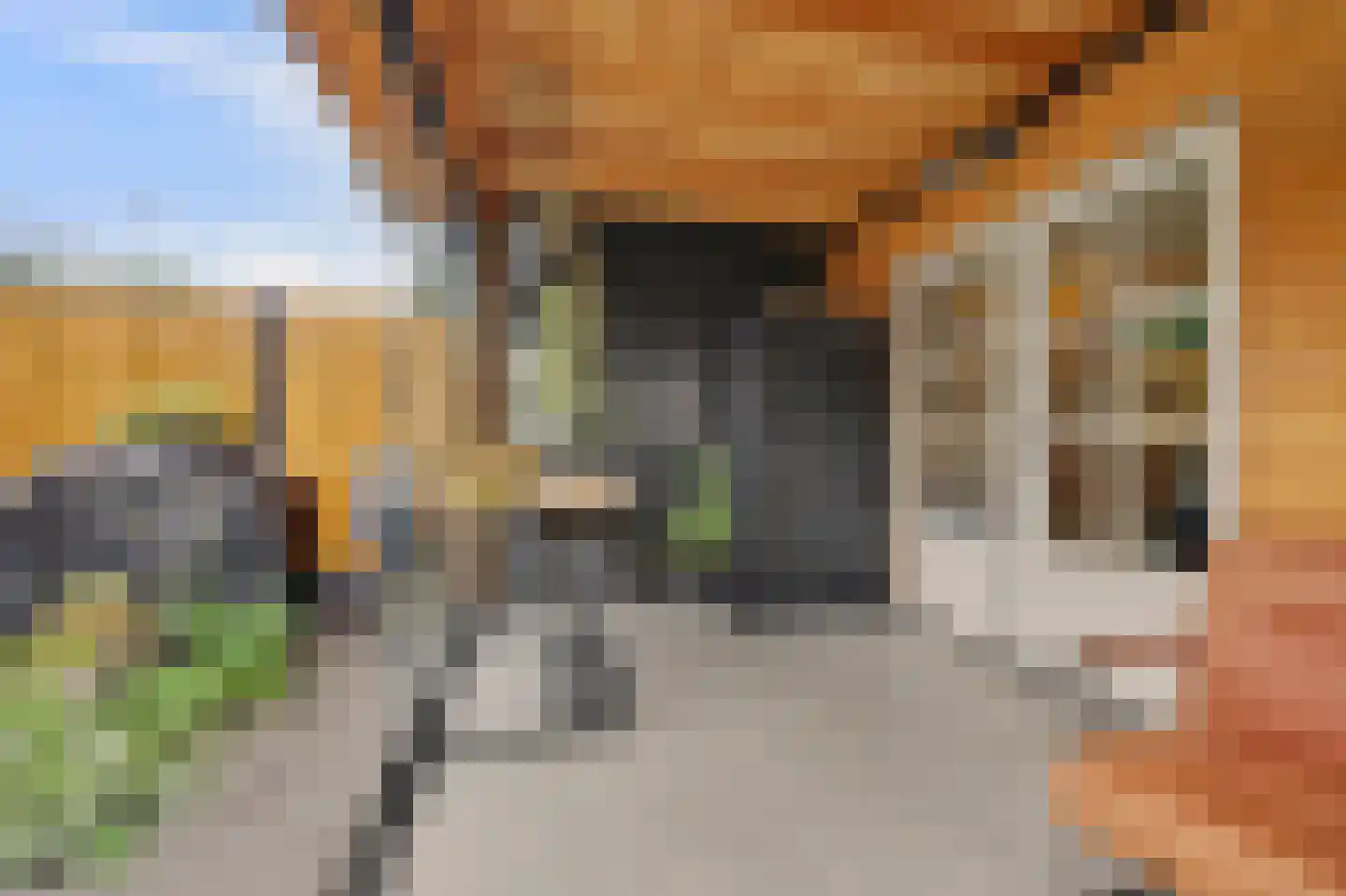 Kuiperspolderke 55 Raamsdonk thumbnail 38