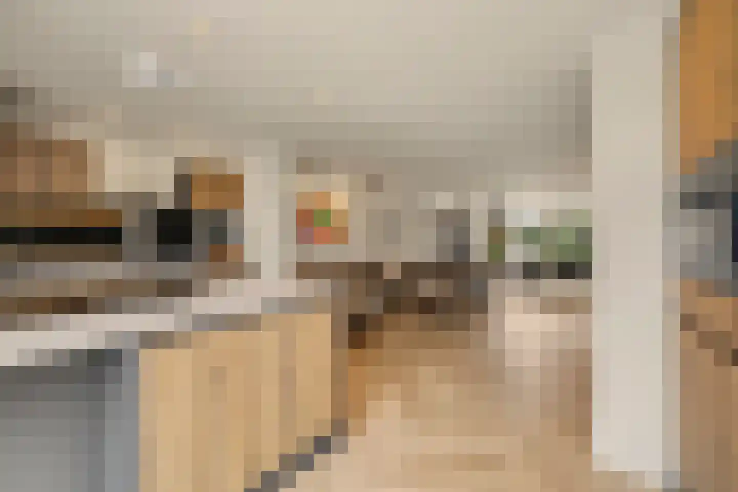Kuiperspolderke 55 Raamsdonk thumbnail 9