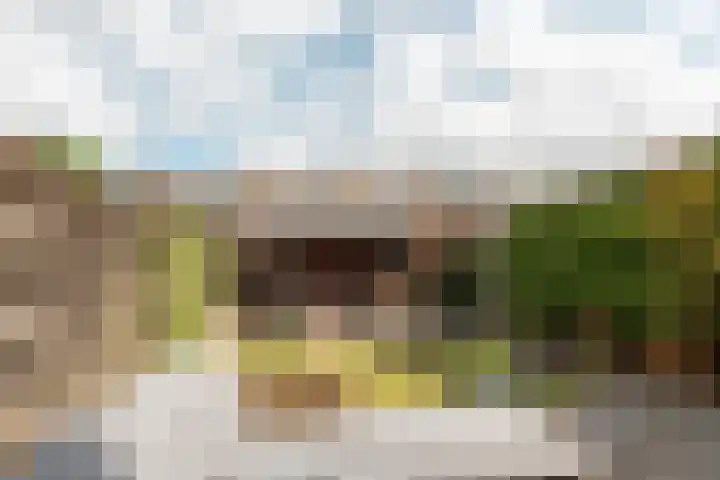 Kuiperssingel 26 Drachten thumbnail 10