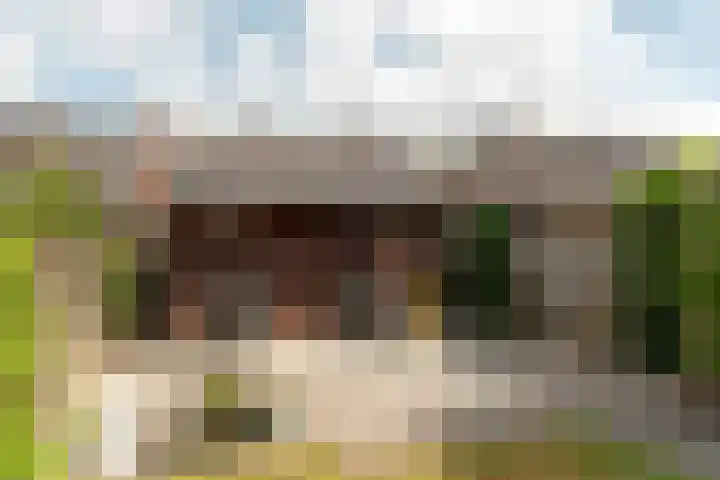 Kuiperssingel 26 Drachten thumbnail 11