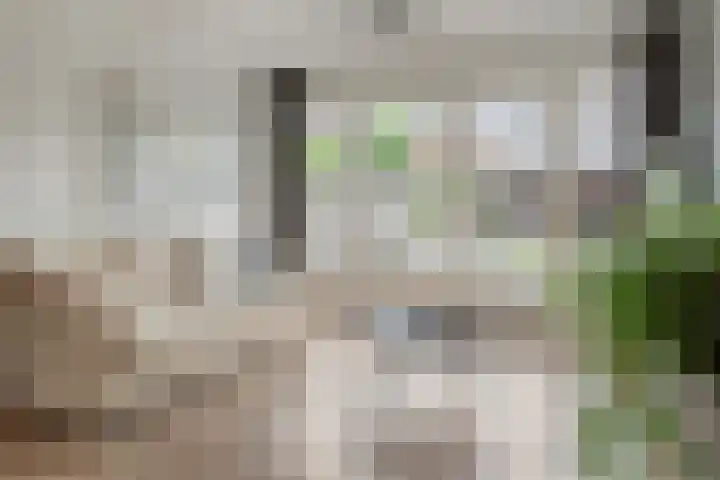 Kuiperssingel 26 Drachten thumbnail 15