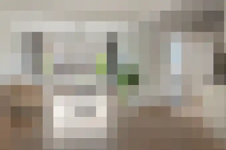 Kuiperssingel 26 Drachten thumbnail 17