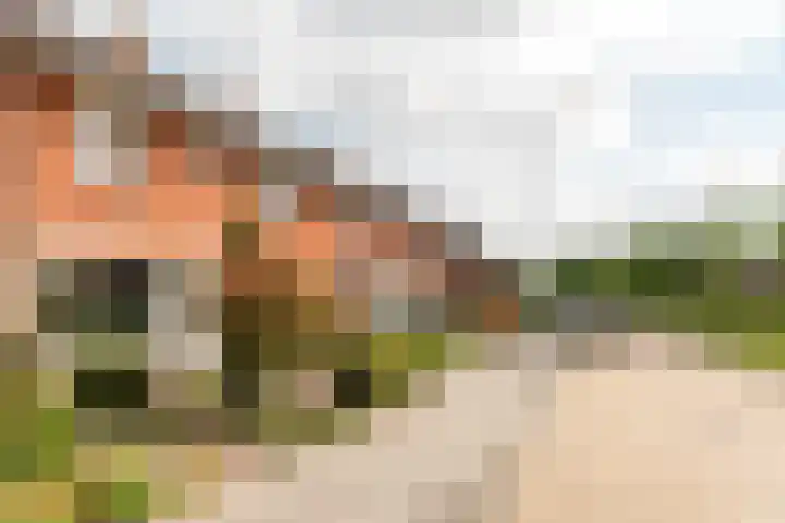 Kuiperssingel 26 Drachten thumbnail 5