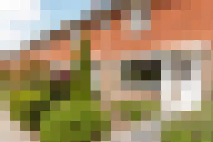 Kuiperssingel 26 Drachten thumbnail 6