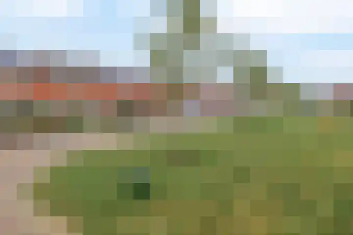 Kuiperssingel 30 Drachten thumbnail 39