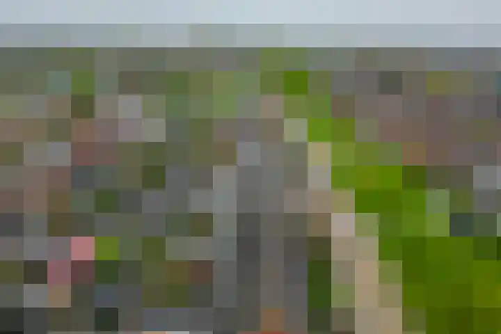 Kuiperssingel 30 Drachten thumbnail 40