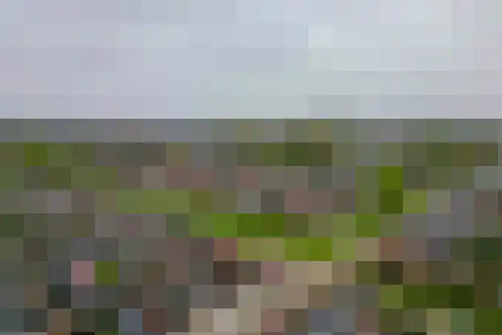 Kuiperssingel 30 Drachten thumbnail 45