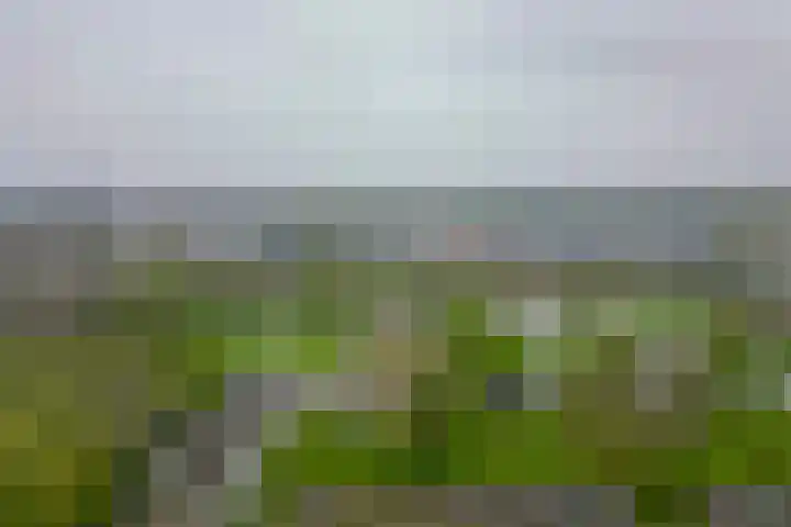 Kuiperssingel 30 Drachten thumbnail 46