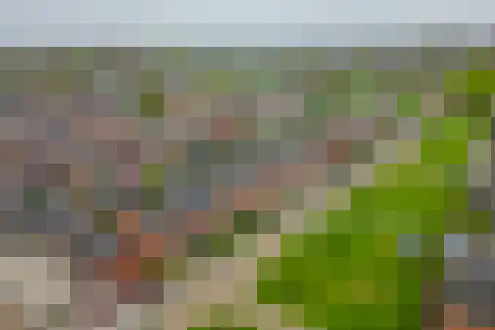 Kuiperssingel 30 Drachten thumbnail 47