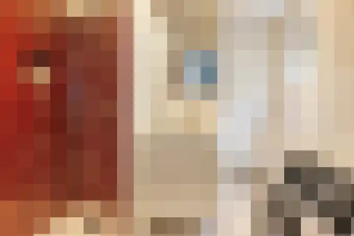 Kuipersstraat 139 1 Amsterdam thumbnail 15