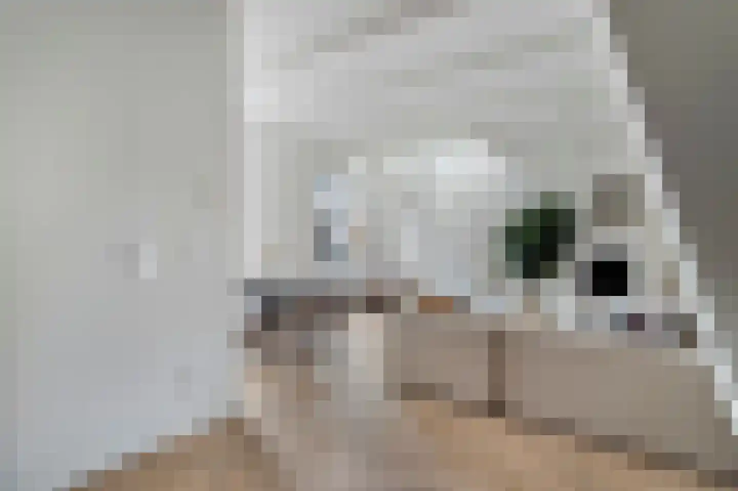 Kuipersstraat 139 2 Amsterdam thumbnail 5