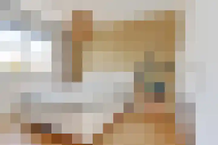 Kuipersstraat 14 Oeffelt thumbnail 21