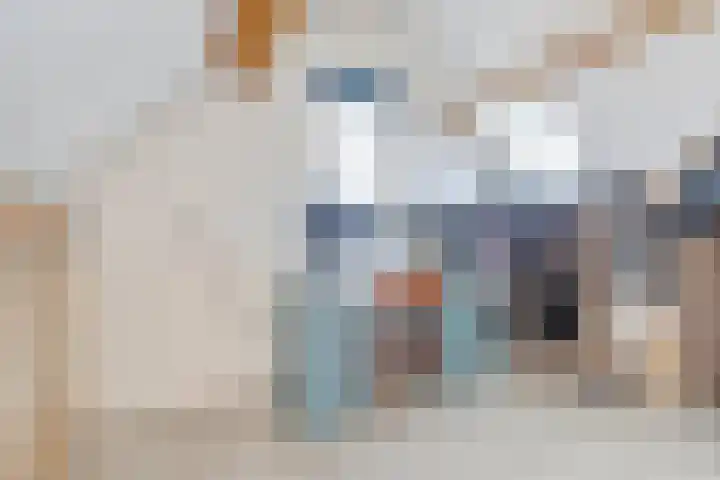 Kuipersstraat 14 Oeffelt thumbnail 35