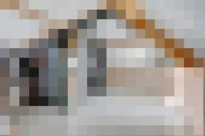 Kuipersstraat 14 Oeffelt thumbnail 36