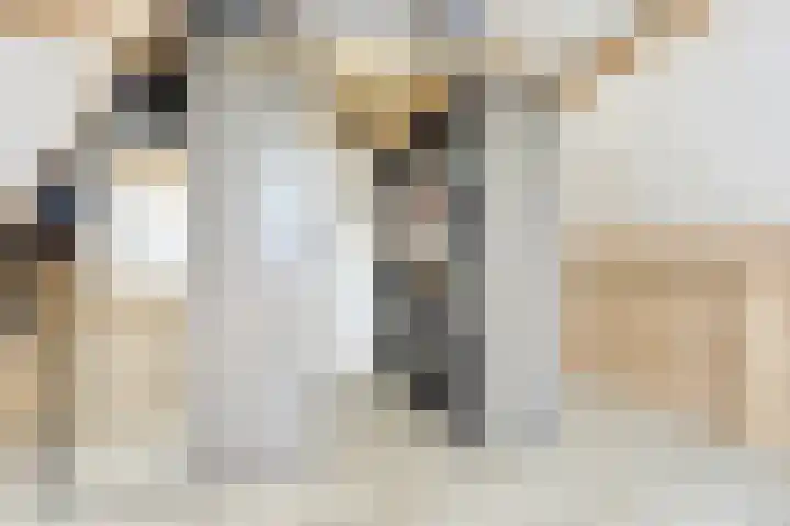 Kuipersstraat 14 Oeffelt thumbnail 37
