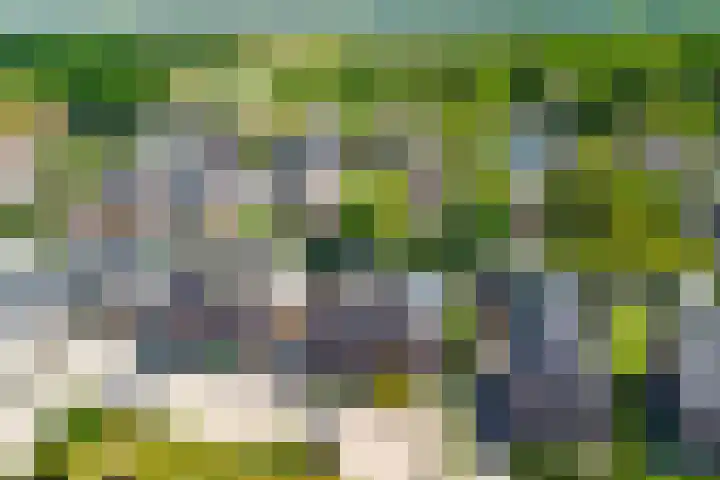 Kuipersstraat 14 Oeffelt thumbnail 8