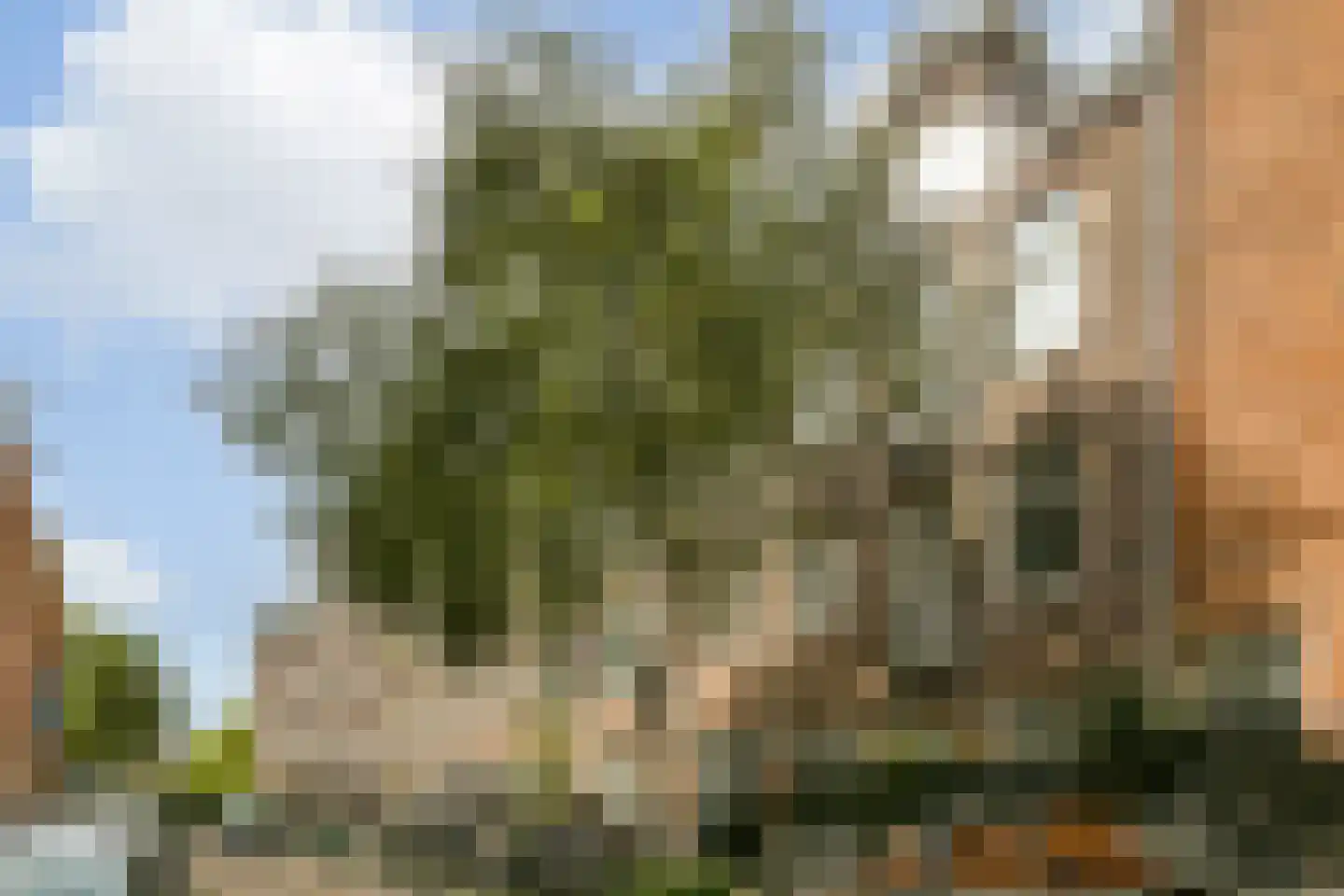 Kuipersstraat 158 2 Amsterdam thumbnail 23