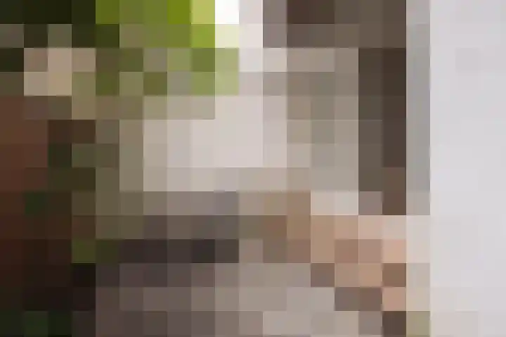 Kuipersstraat 170 B Amsterdam thumbnail 7