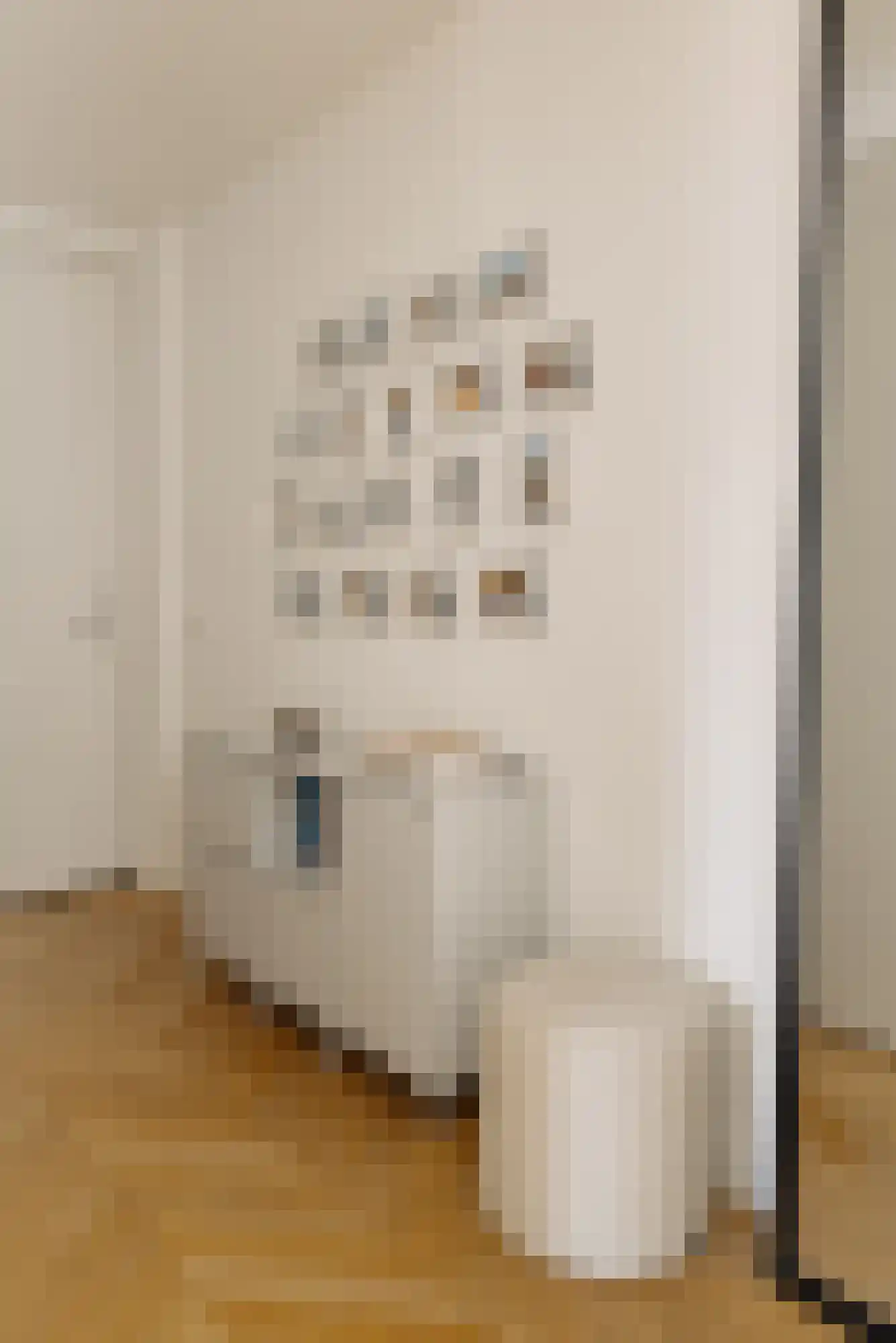 Kuipersstraat 173 Amsterdam thumbnail 6