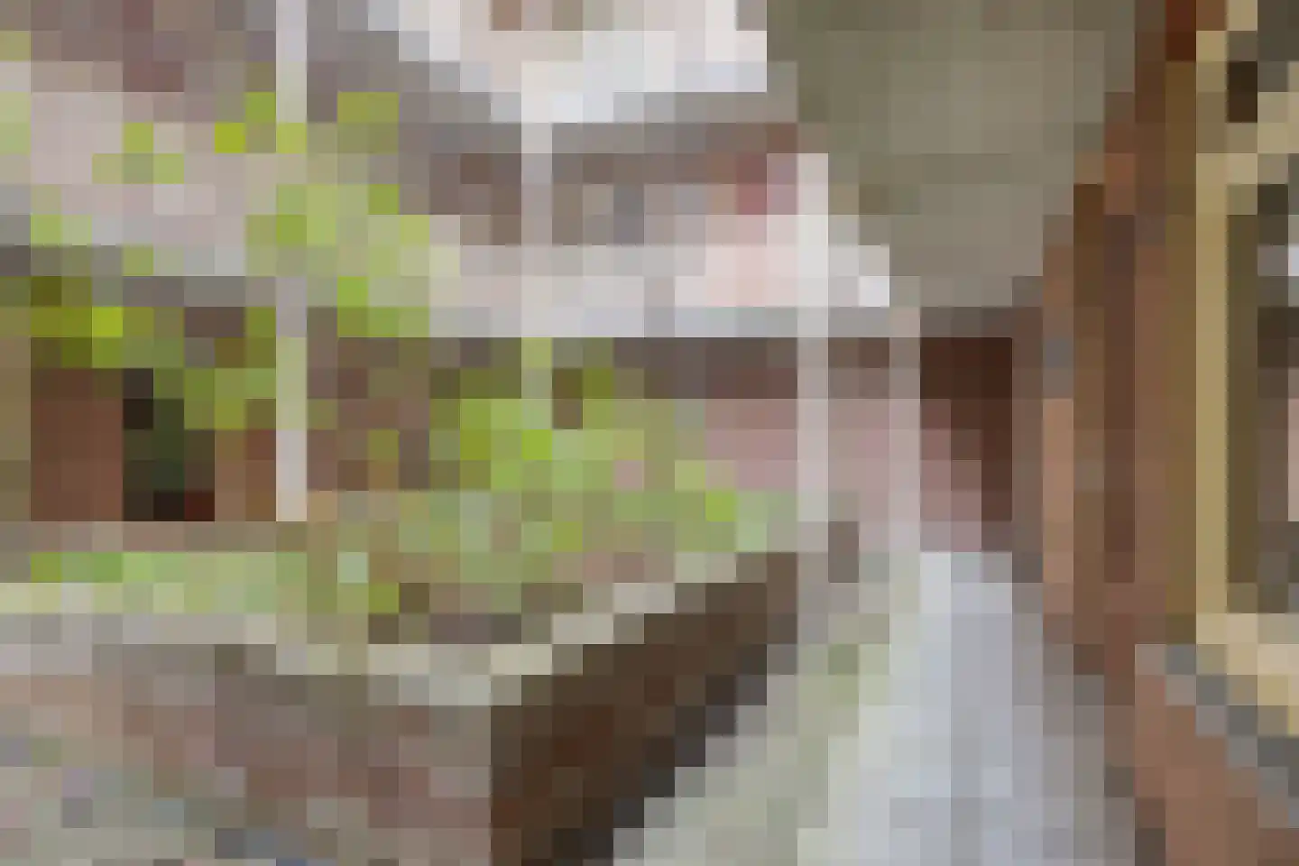 Kuipersstraat 197 Amsterdam thumbnail 18