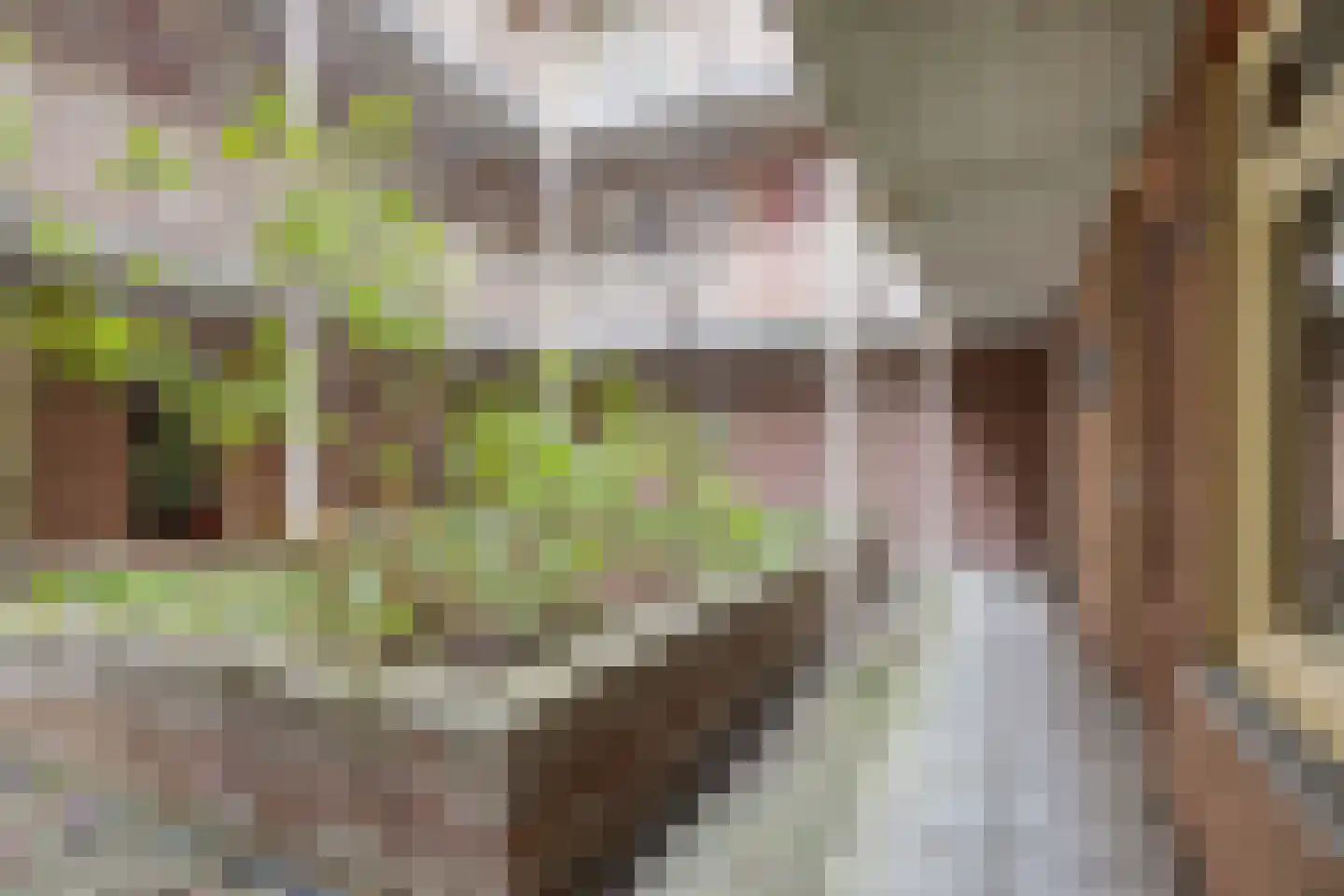 Kuipersstraat 197 Amsterdam thumbnail 18